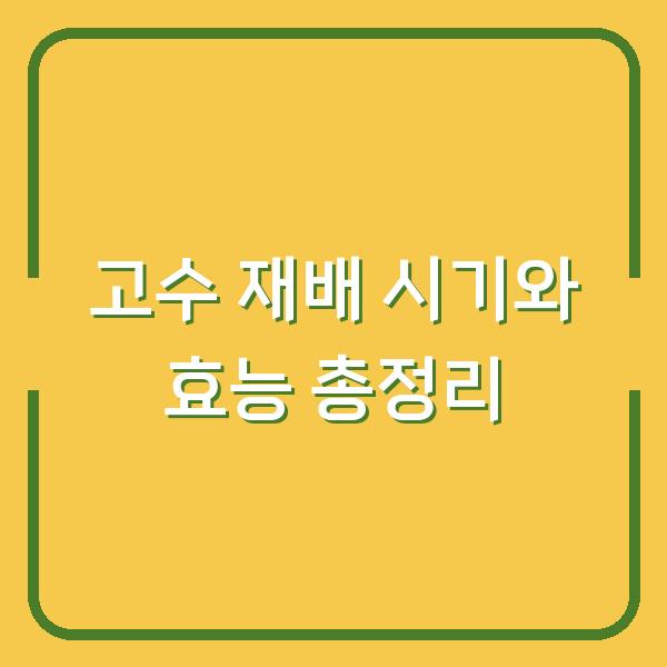 고수 재배 시기와 효능 총정리