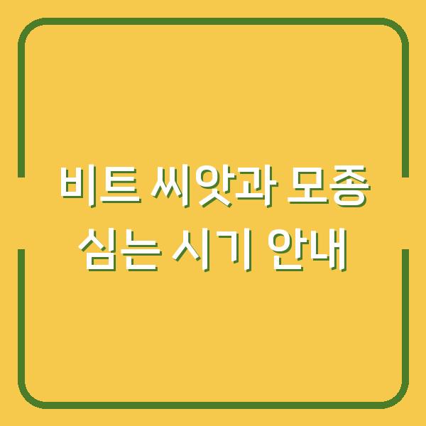 비트 씨앗과 모종 심는 시기 안내