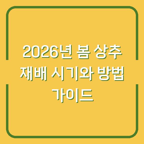2026년 봄 상추 재배 시기와 방법 가이드
