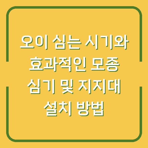 오이 심는 시기와 효과적인 모종 심기 및 지지대 설치 방법