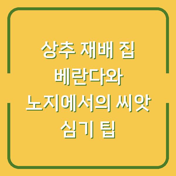 상추 재배 집 베란다와 노지에서의 씨앗 심기 팁