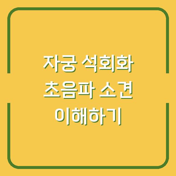 자궁 석회화 초음파 소견 이해하기