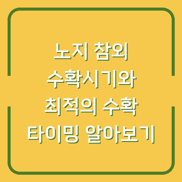 노지 참외 수확시기와 최적의 수확 타이밍 알아보기