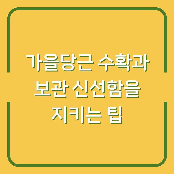 가을당근 수확과 보관 신선함을 지키는 팁