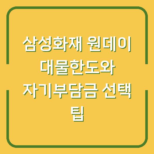 삼성화재 원데이 대물한도와 자기부담금 선택 팁