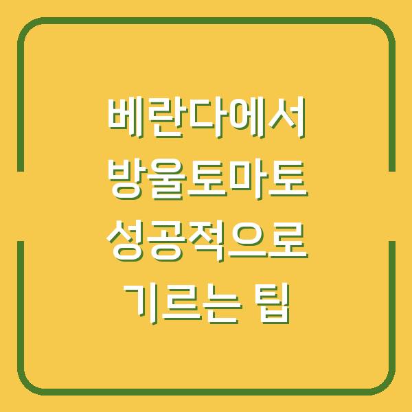 베란다에서 방울토마토 성공적으로 기르는 팁
