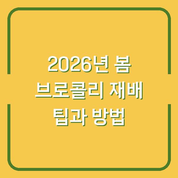 2026년 봄 브로콜리 재배 팁과 방법