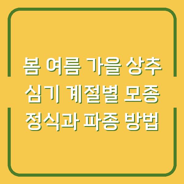 봄 여름 가을 상추 심기 계절별 모종 정식과 파종 방법