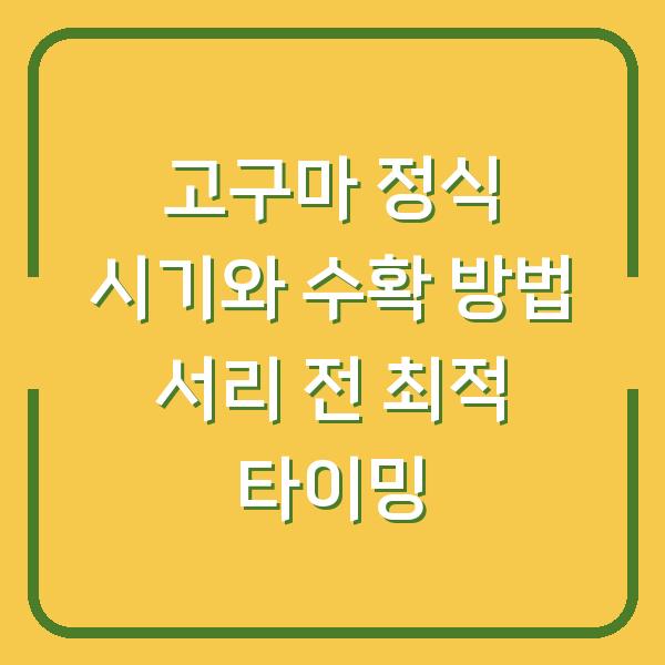 고구마 정식 시기와 수확 방법 서리 전 최적 타이밍