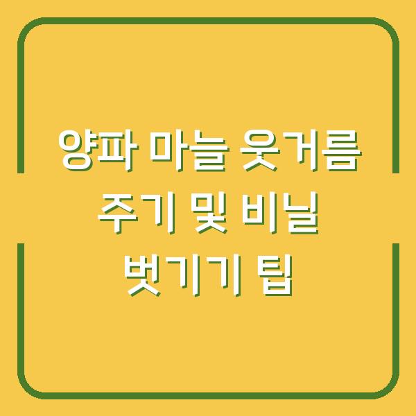 양파 마늘 웃거름 주기 및 비닐 벗기기 팁