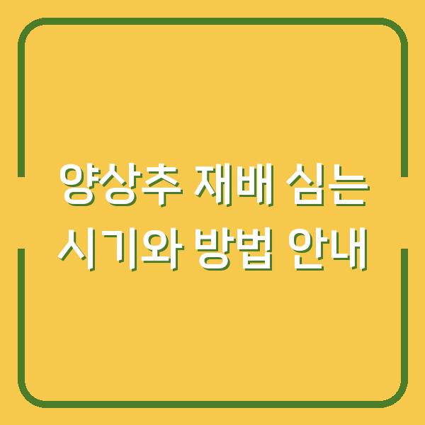 양상추 재배 심는 시기와 방법 안내