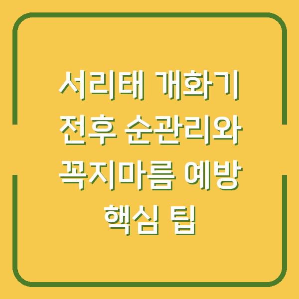 서리태 개화기 전후 순관리와 꼭지마름 예방 핵심 팁