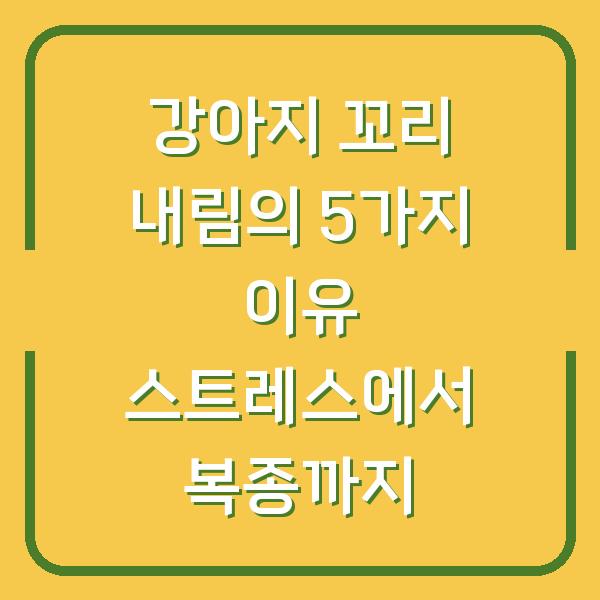 강아지 꼬리 내림의 5가지 이유 스트레스에서 복종까지