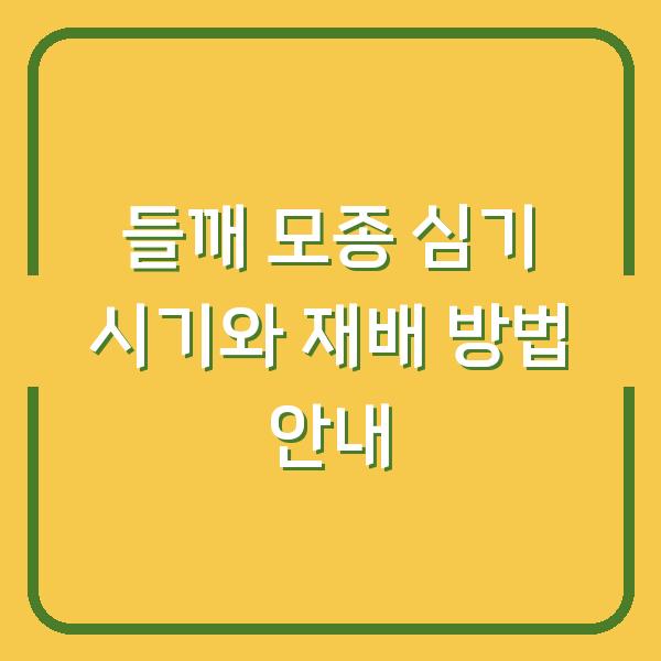 들깨 모종 심기 시기와 재배 방법 안내