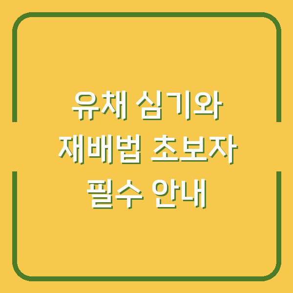 유채 심기와 재배법 초보자 필수 안내