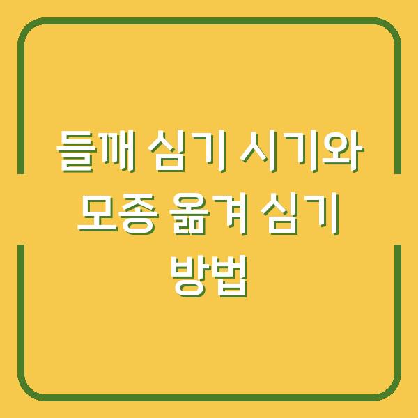 들깨 심기 시기와 모종 옮겨 심기 방법
