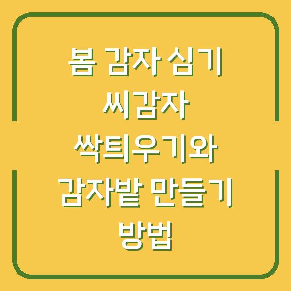 봄 감자 심기 씨감자 싹틔우기와 감자밭 만들기 방법