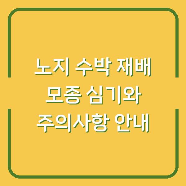 노지 수박 재배 모종 심기와 주의사항 안내