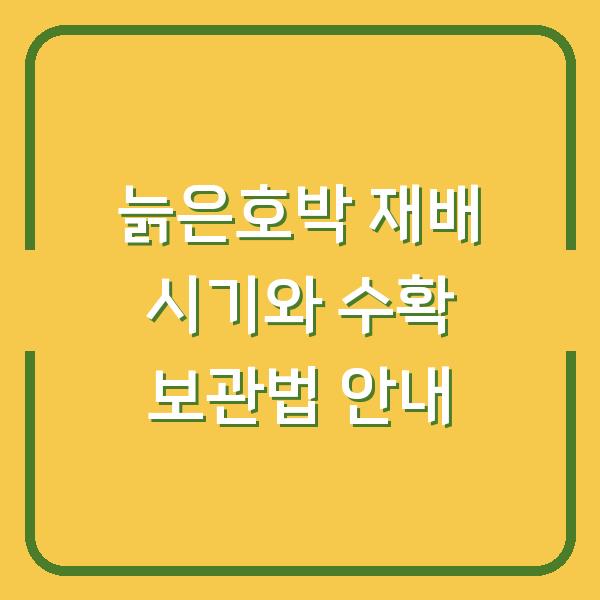 늙은호박 재배 시기와 수확 보관법 안내