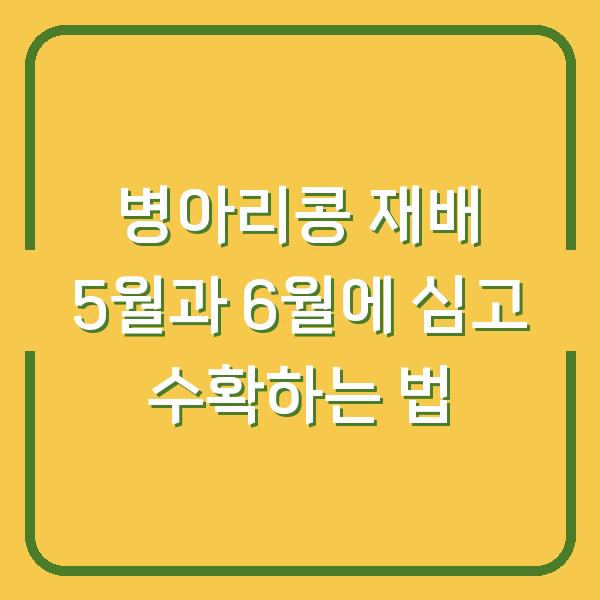 병아리콩 재배 5월과 6월에 심고 수확하는 법