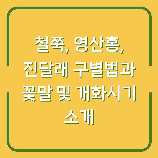 철쭉, 영산홍, 진달래 구별법과 꽃말 및 개화시기 소개