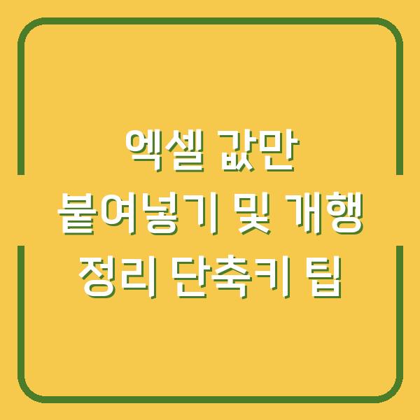 엑셀 값만 붙여넣기 및 개행 정리 단축키 팁