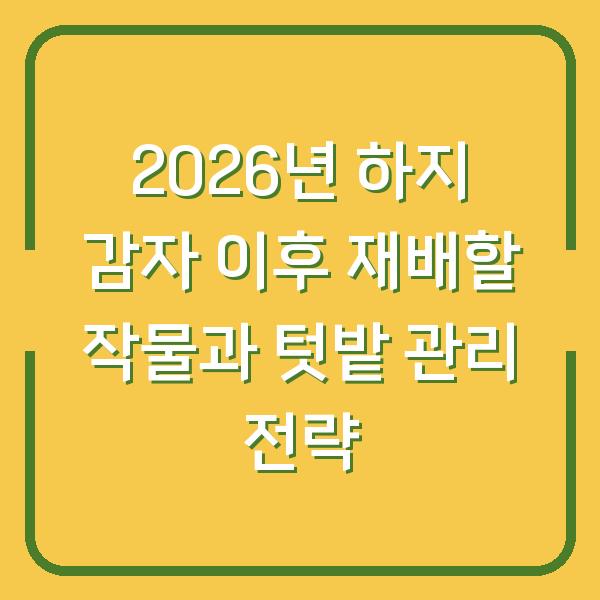 2026년 하지 감자 이후 재배할 작물과 텃밭 관리 전략
