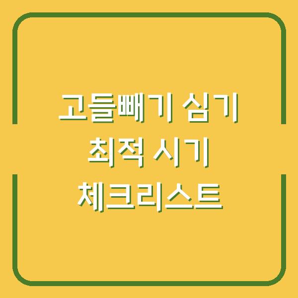 고들빼기 심기 최적 시기 체크리스트