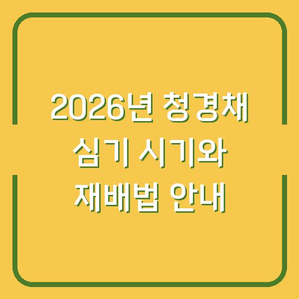 2026년 청경채 심기 시기와 재배법 안내