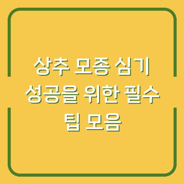 상추 모종 심기 성공을 위한 필수 팁 모음