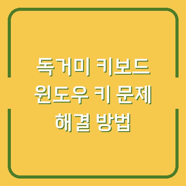 독거미 키보드 윈도우 키 문제 해결 방법