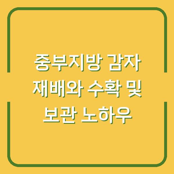 중부지방 감자 재배와 수확 및 보관 노하우