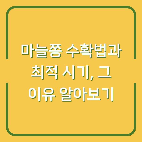 마늘쫑 수확법과 최적 시기, 그 이유 알아보기