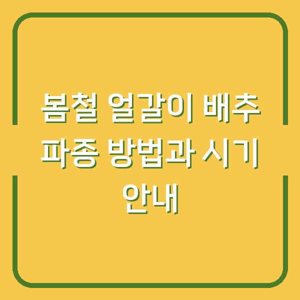 봄철 얼갈이 배추 파종 방법과 시기 안내