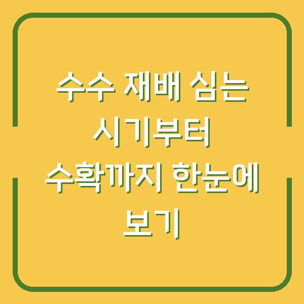 수수 재배 심는 시기부터 수확까지 한눈에 보기