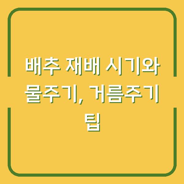 배추 재배 시기와 물주기, 거름주기 팁