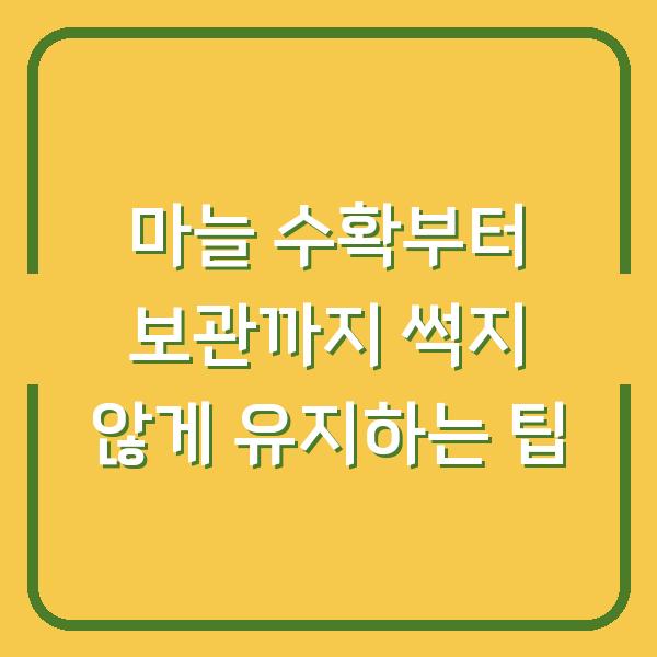 마늘 수확부터 보관까지 썩지 않게 유지하는 팁