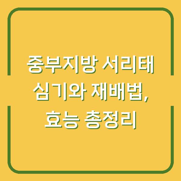 중부지방 서리태 심기와 재배법, 효능 총정리