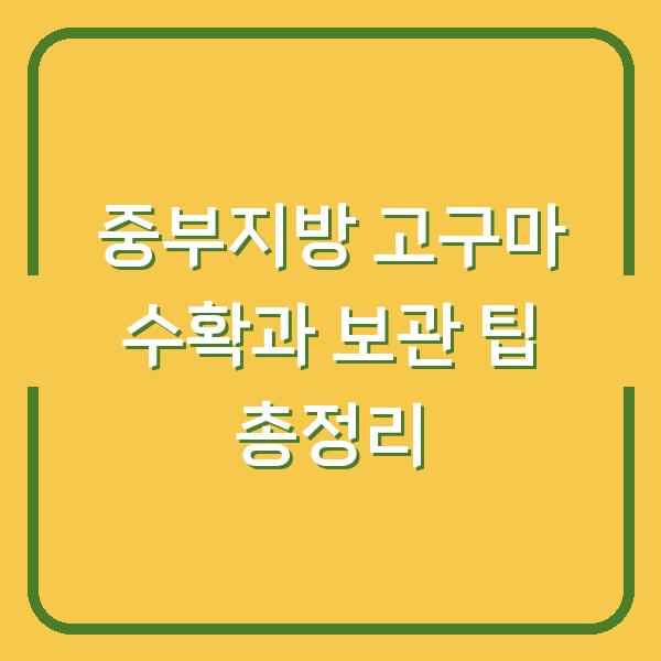 중부지방 고구마 수확과 보관 팁 총정리