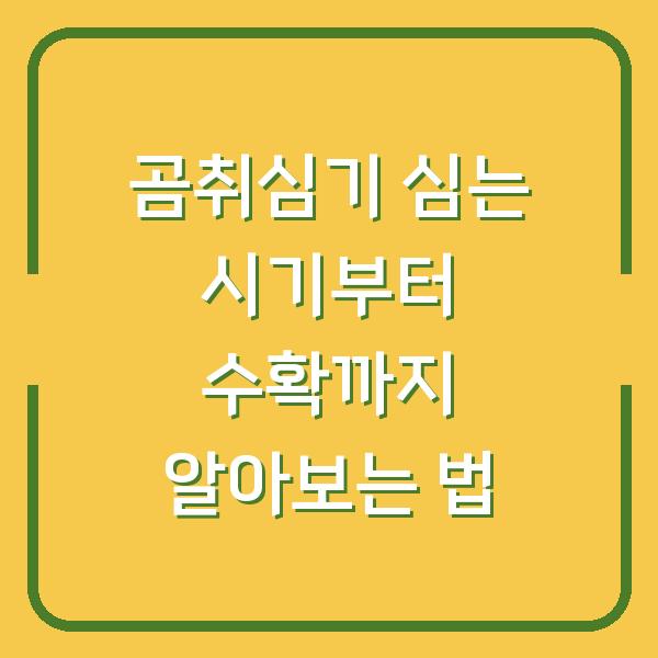 곰취심기 심는 시기부터 수확까지 알아보는 법