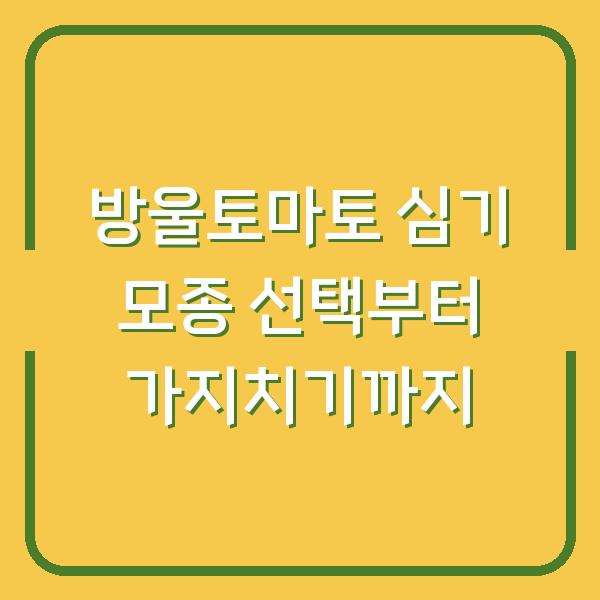 방울토마토 심기 모종 선택부터 가지치기까지