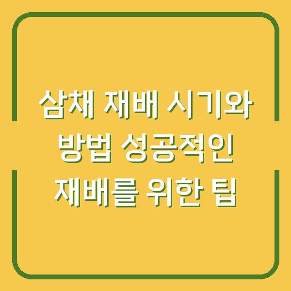 삼채 재배 시기와 방법 성공적인 재배를 위한 팁
