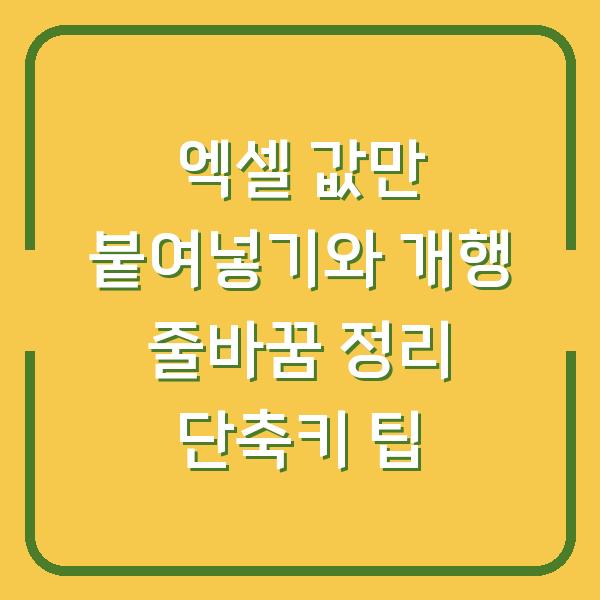 엑셀 값만 붙여넣기와 개행 줄바꿈 정리 단축키 팁