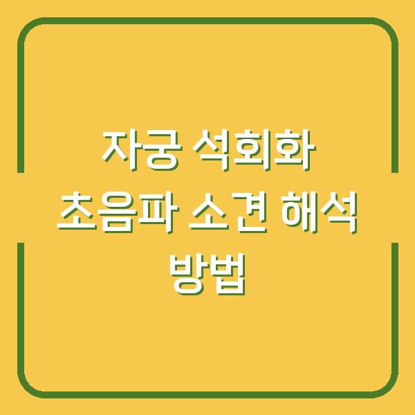 자궁 석회화 초음파 소견 해석 방법