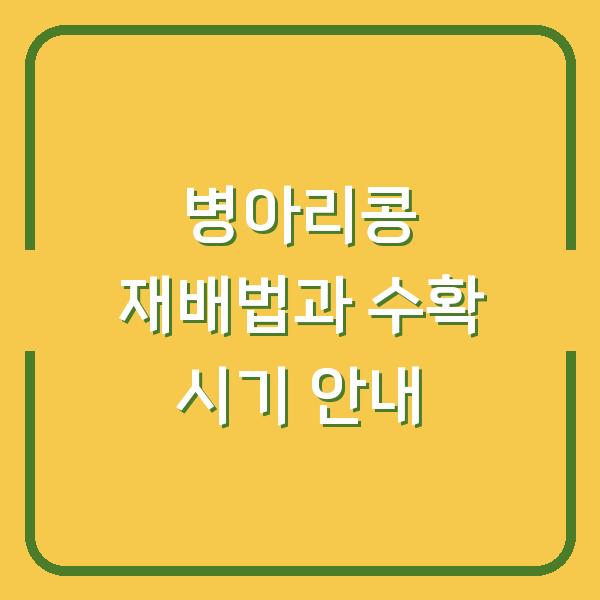 병아리콩 재배법과 수확 시기 안내