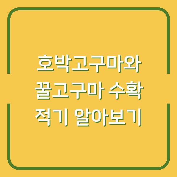 호박고구마와 꿀고구마 수확 적기 알아보기