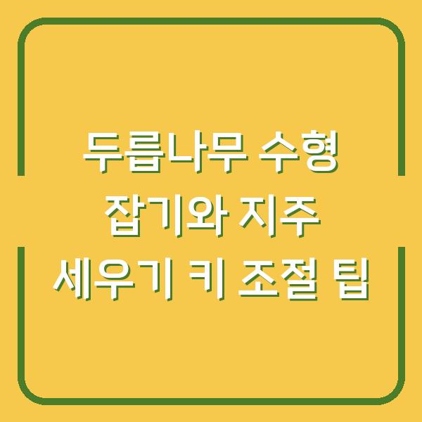 두릅나무 수형 잡기와 지주 세우기 키 조절 팁