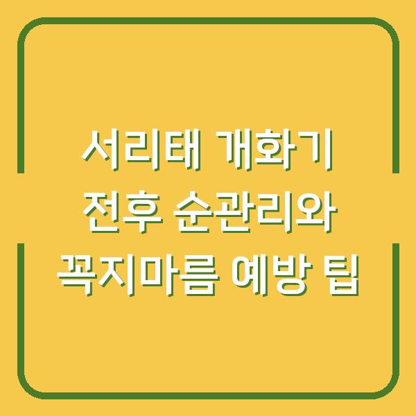 서리태 개화기 전후 순관리와 꼭지마름 예방 팁