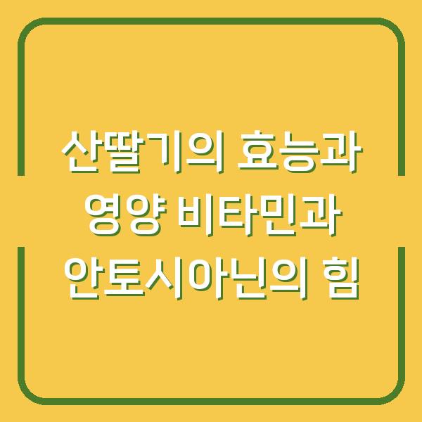 산딸기의 효능과 영양 비타민과 안토시아닌의 힘