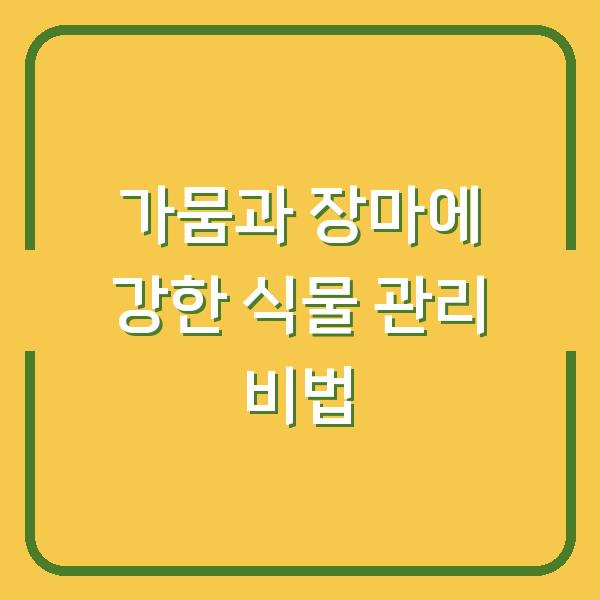 가뭄과 장마에 강한 식물 관리 비법